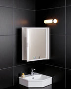 Corner Acrylic Cabinet