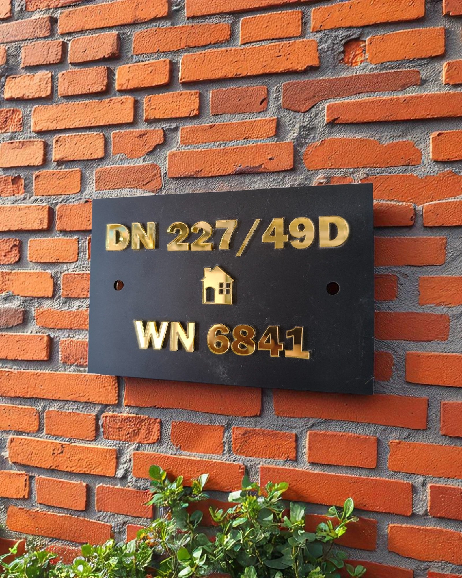 DN 227