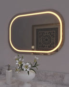 LED 53